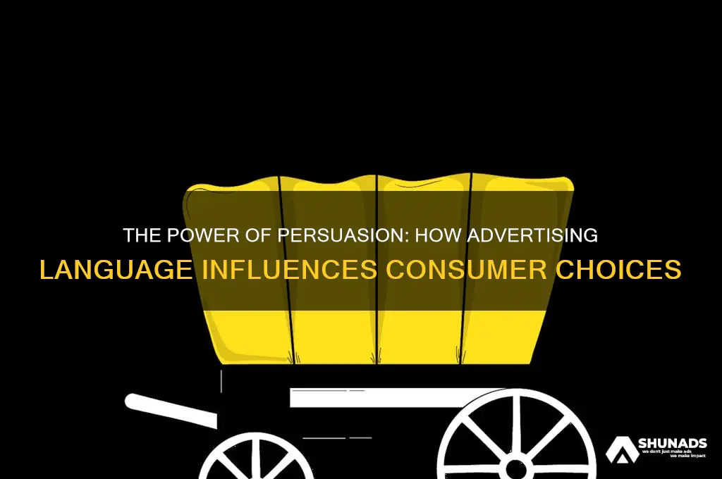 why do we use persuasive language in advertising