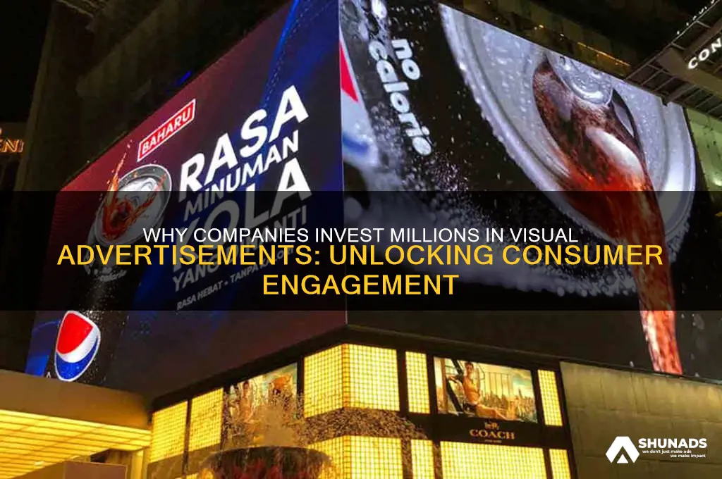 why do you think companies spend millions for visual advertisement
