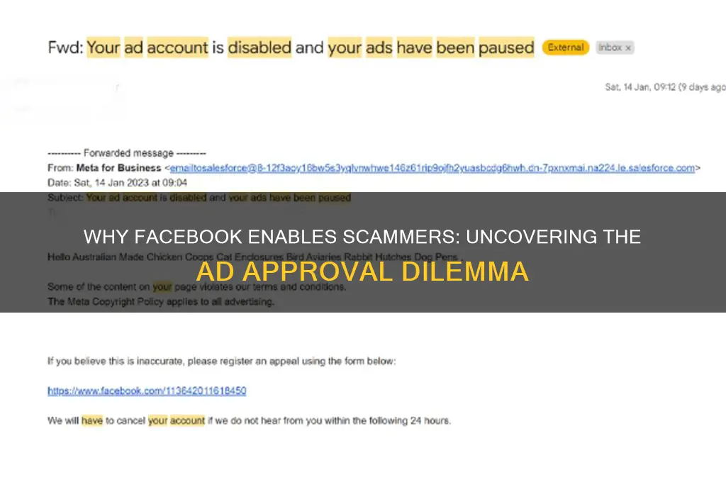 why does facebook allow scammers to advertise