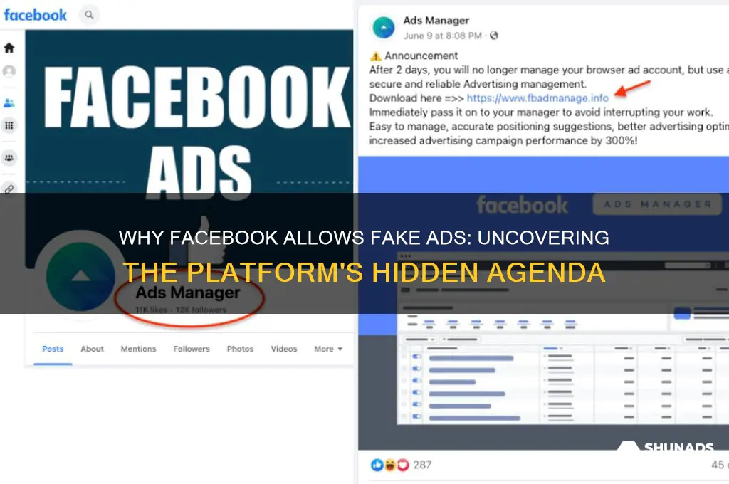 why does facebook post fake advertisements
