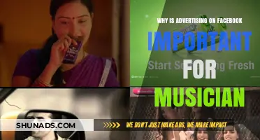 Boost Your Music Career: The Power of Facebook Advertising