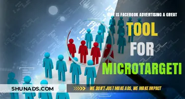 Facebook Advertising: The Ultimate Microtargeting Tool for Businesses