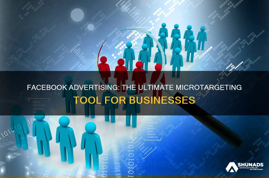why is facebook advertising a great tool for microtargeting