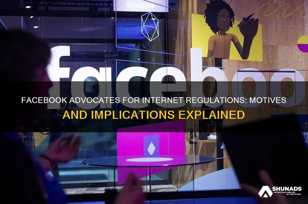 why is facebook advertising for internet regulations