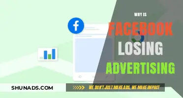 Facebook's Ad Revenue Decline: Causes and Implications for Marketers