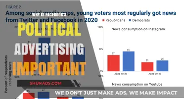 Facebook's Political Ads: Shaping Elections and Public Opinion