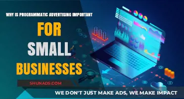Programmatic Advertising: A Game-Changer for Small Business Growth