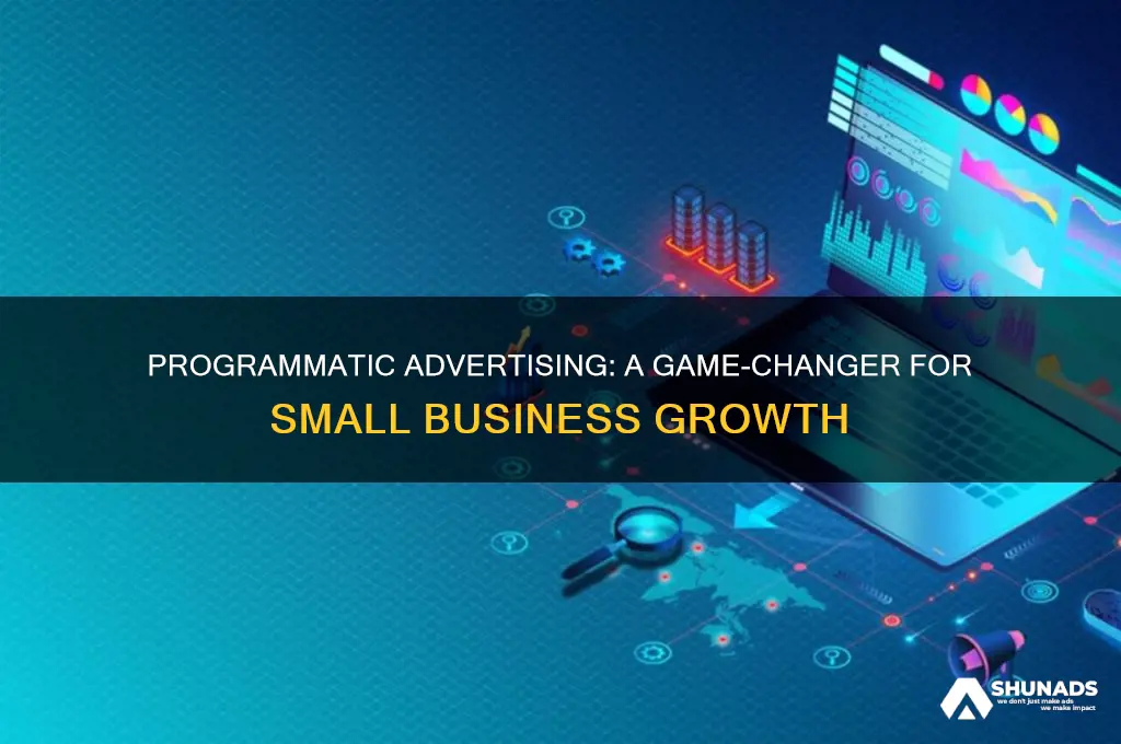why is programmatic advertising important for small businesses