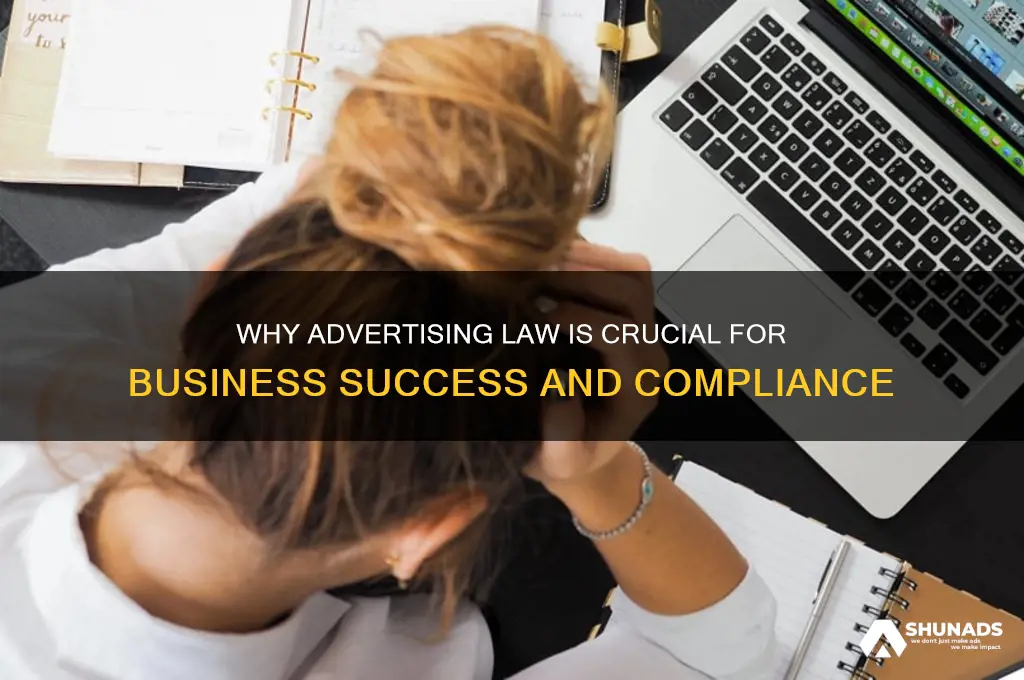 why is the advertising law important for a business