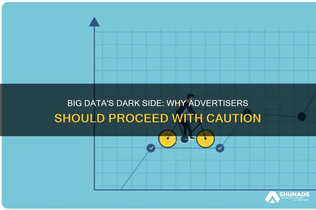 why might advertisers be wary of using big data