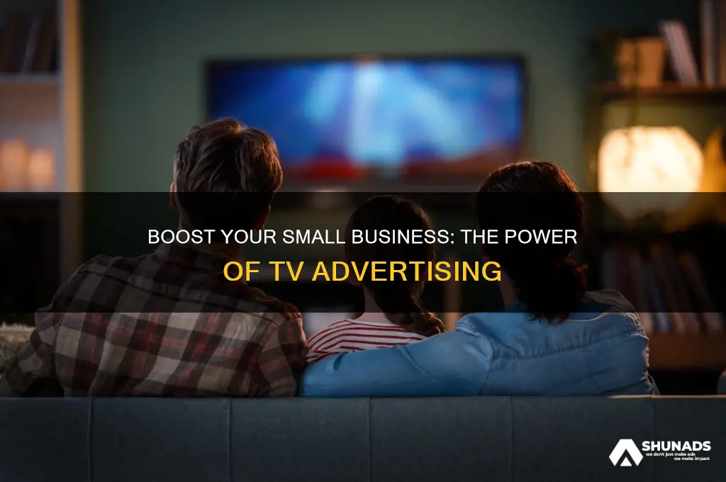 why should a small business use television to advertise