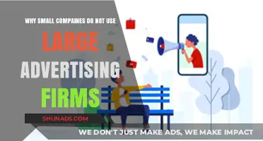 Why Small Businesses Avoid Big Ad Agencies: Key Insights