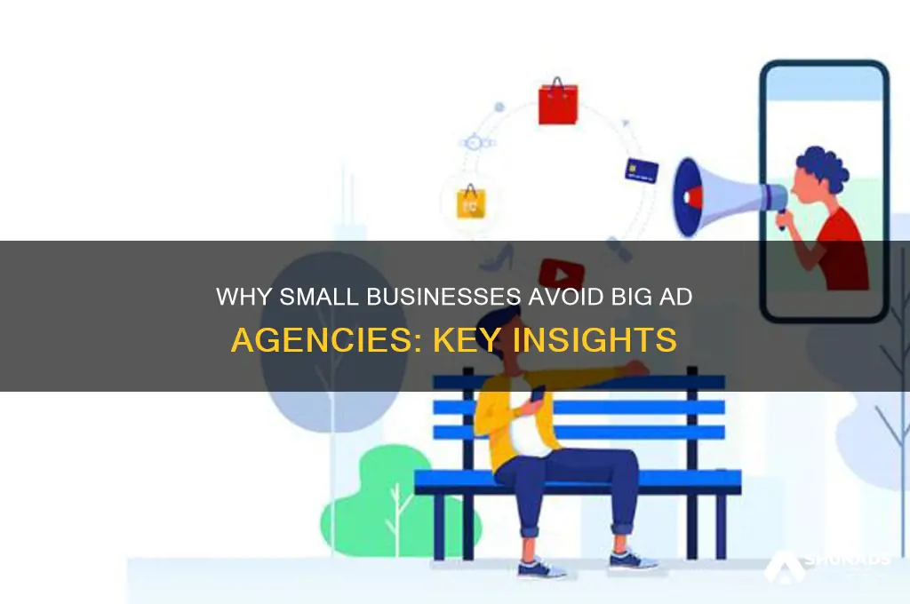 why small compaines do not use large advertising firms
