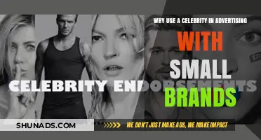 Boosting Brand Visibility: The Power of Celebrity Endorsements for Small Businesses