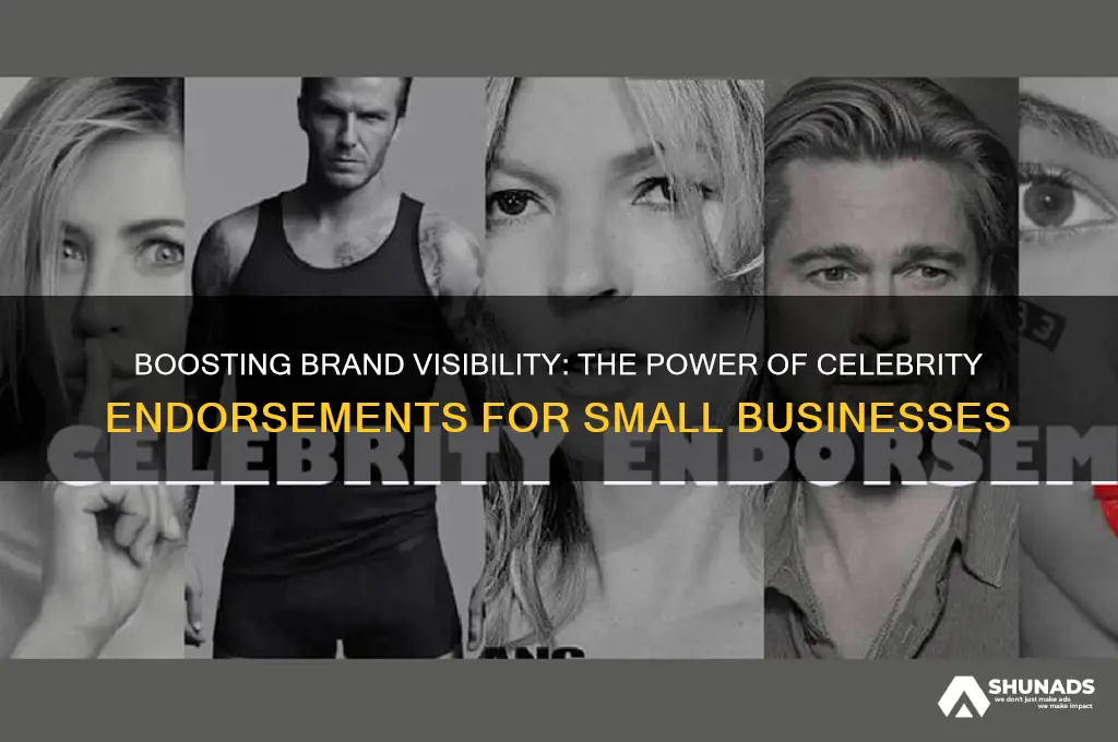 why use a celebrity in advertising with small brands