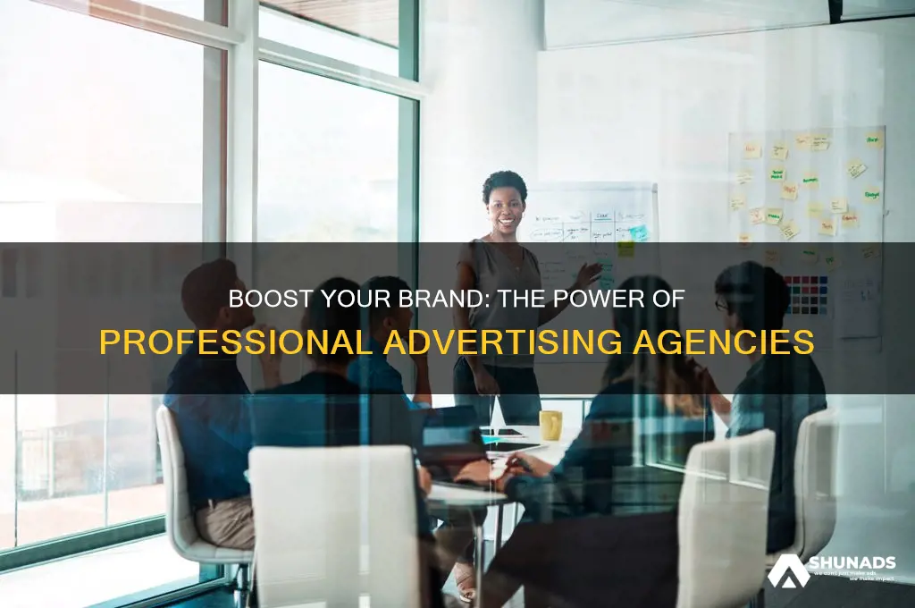 why use a professional advertising agency