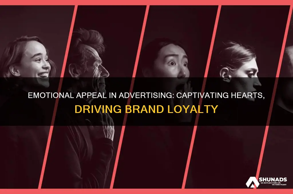 why use emotional appeal in advertising