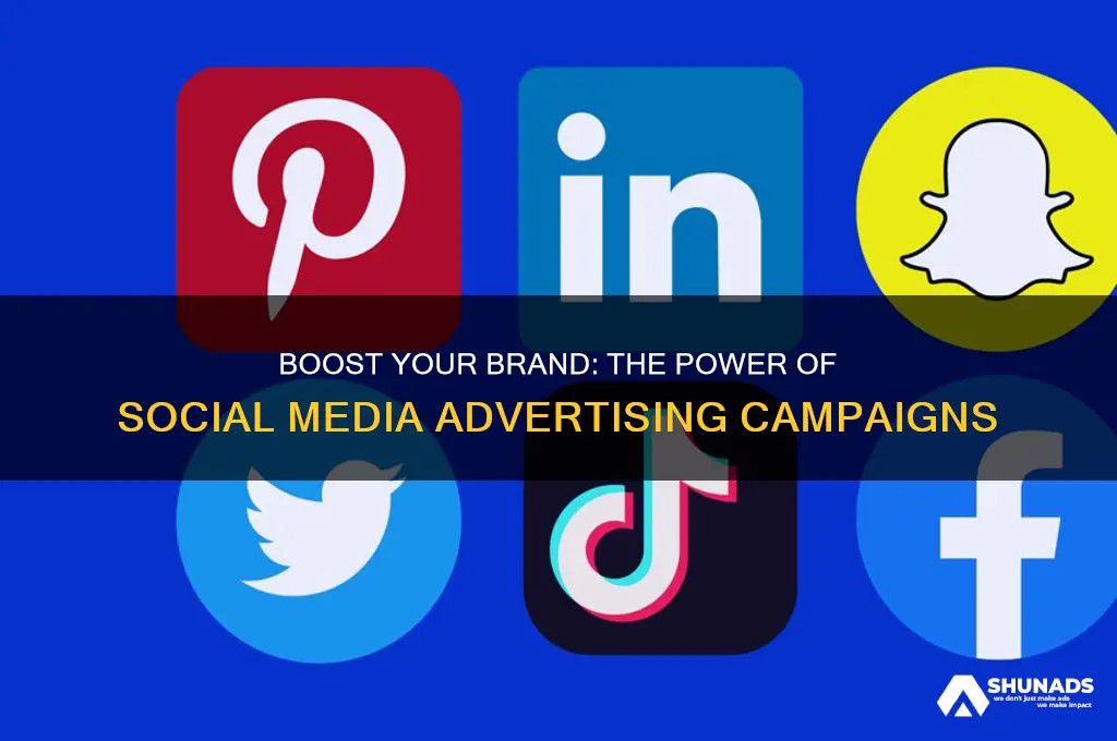 why use social networking site advertising campaigns