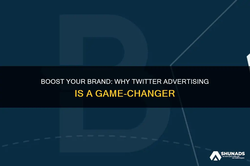 why use twitter advertising