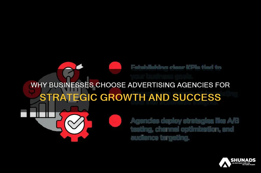 why would a business hire an advertising agency