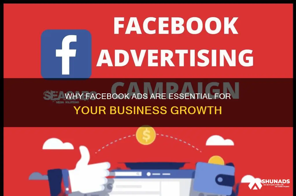 why would i use facebook as means for advertising